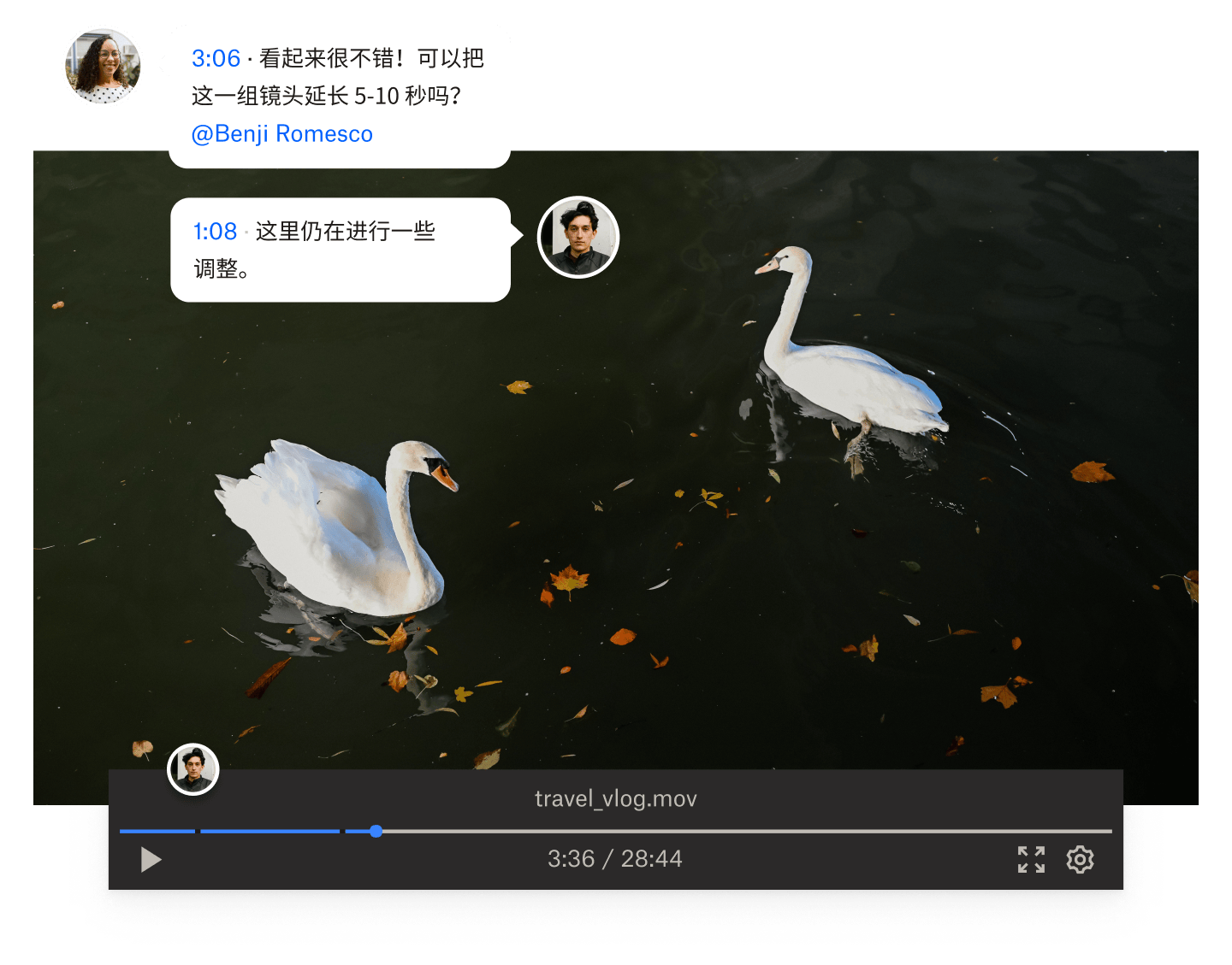 一段关于两只天鹅在水中游泳的静态视频,视频上覆盖有带时间戳的评论